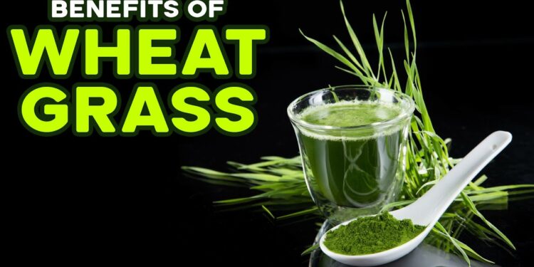 Is Wheatgrass Really Health Benefits? A Dietitian Answers | Goodness Nature