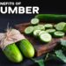 Cool and Crunchy: Unlocking the Health Benefits of Cucumbers | Goodness Nature