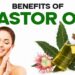 Castor Oil Wonders: Unlocking the Health and Beauty Benefits | Goodness Nature