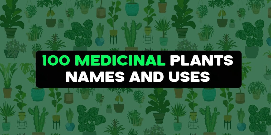 Explore Top 100 Medicinal Plants | Their Names, Uses, and Shocking Insights