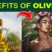 10 Incredible Health Benefits of Olive Oil: A Complete Guide
