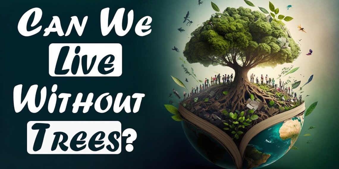 The secret life of trees: How they shape our planet by Goodness Nature