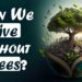 The secret life of trees: How they shape our planet by Goodness Nature