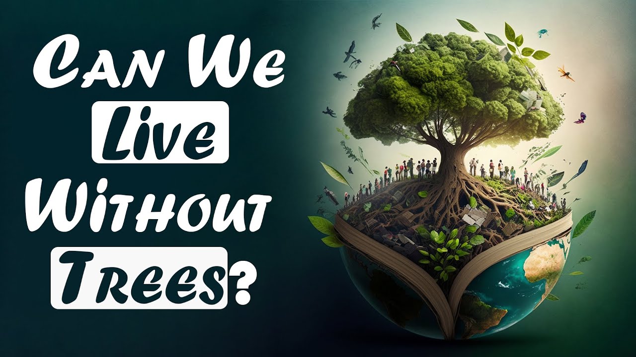 The secret life of trees: How they shape our planet by Goodness Nature