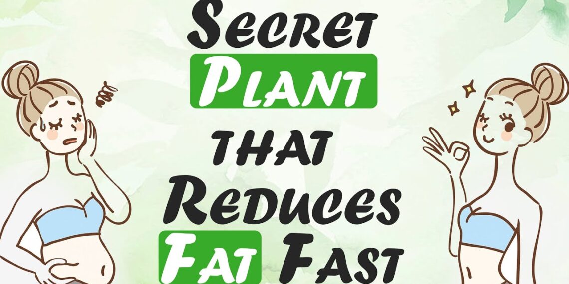 Discover the Powerful Secret for Weight Management