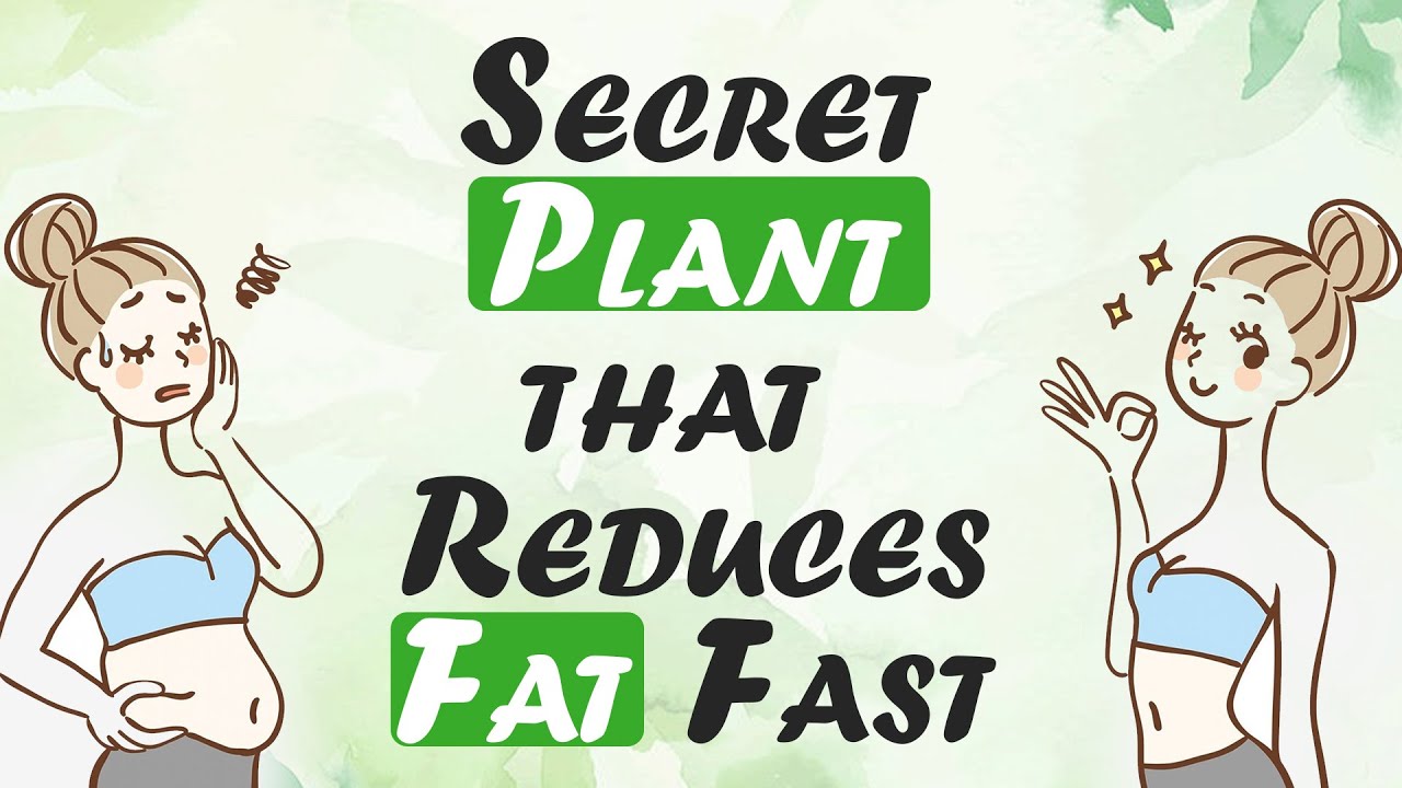 Discover the Powerful Secret for Weight Management