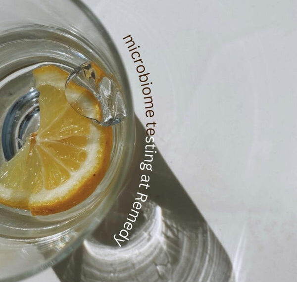 Microbiome Testing – Remedy Holistic