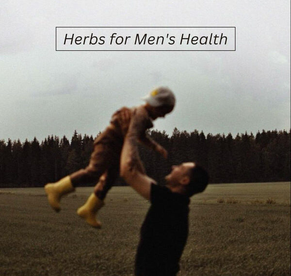 Herbs for Men’s Health – Remedy Holistic