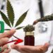 Congress APPROVES CBD CANNABIS for US MILITARY