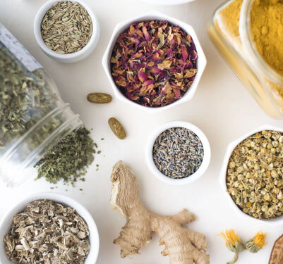 Digestion Essentials for Fall – Remedy Holistic