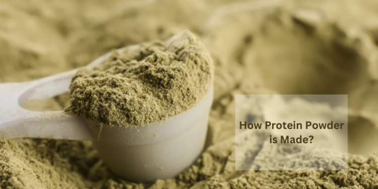 Types, Extraction Processes, and Choosing the Right Protein– The Trost