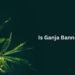 Is Ganja Banned in India? Legal Insights– The Trost