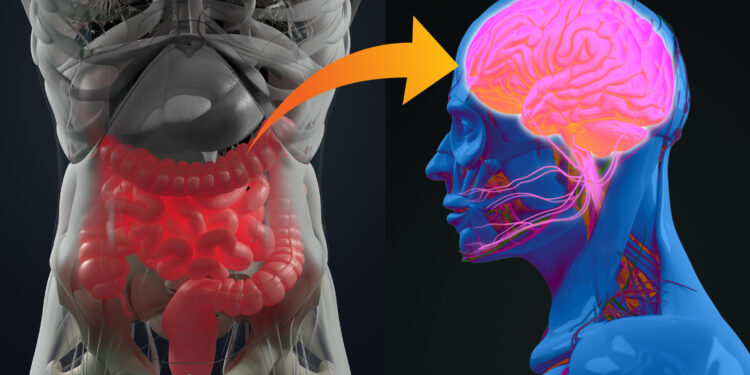 Metabolic complications blunt benefits of probiotics on depression, data suggests