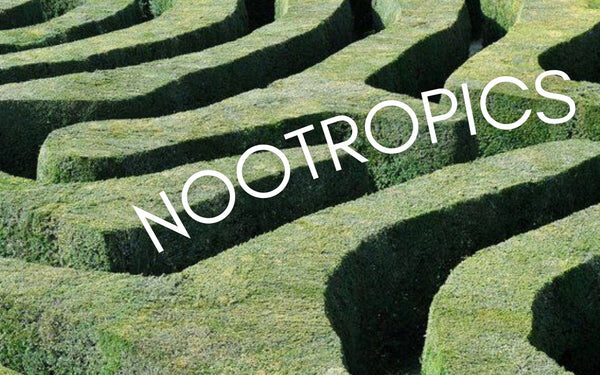On Brain Fog, Nootropics, and ‘Smart Drugs’ – Remedy Holistic