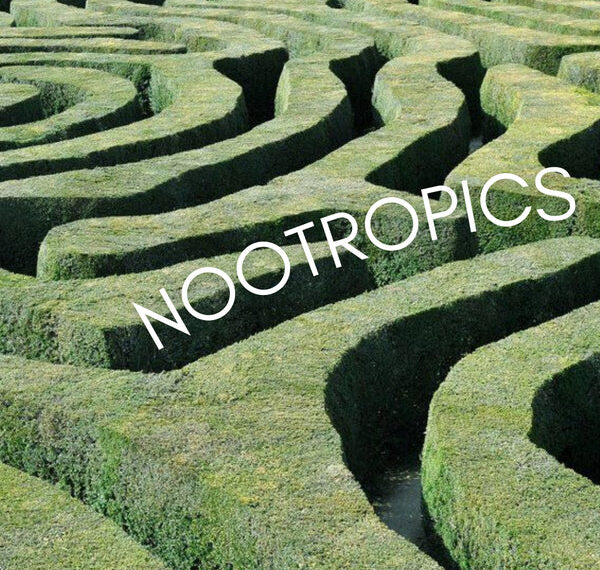 On Brain Fog, Nootropics, and ‘Smart Drugs’ – Remedy Holistic