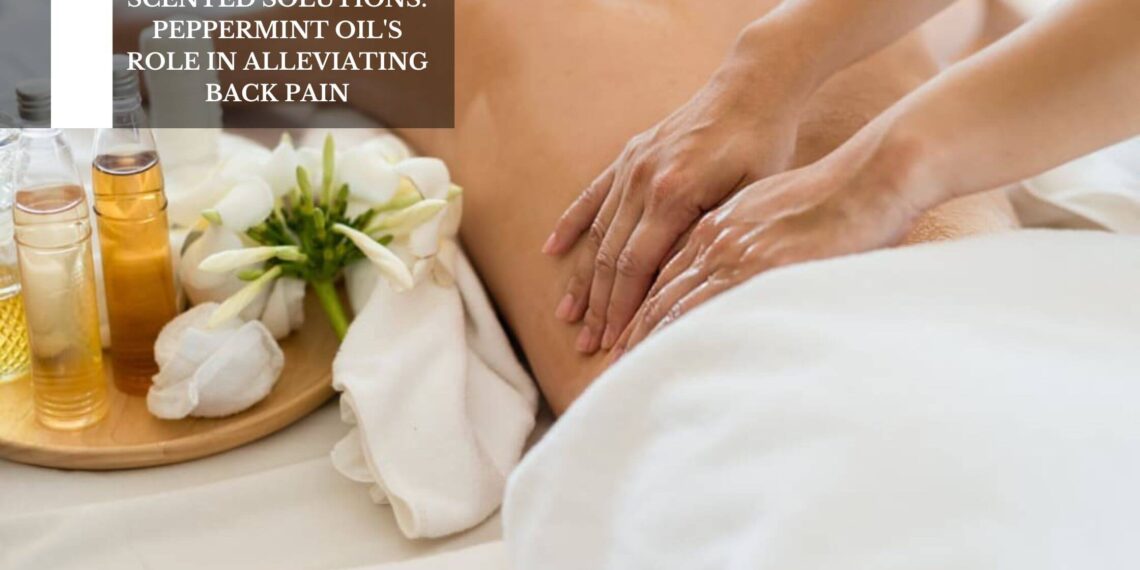 Peppermint Oil’s Role In Alleviating Back Pain
– Moksha Lifestyle Products