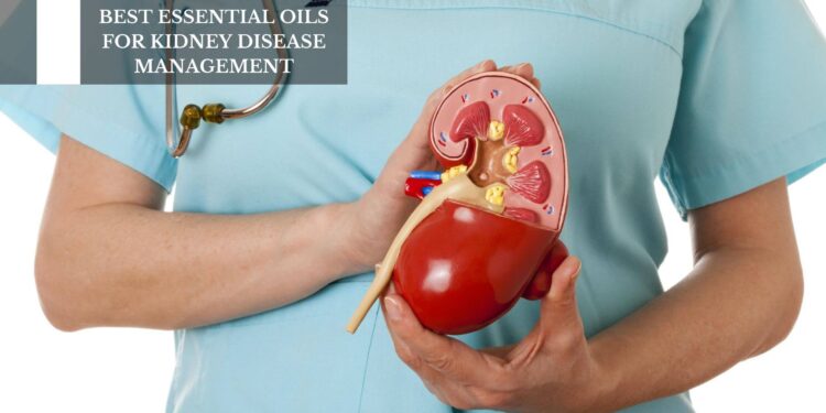 Best Essential Oils For Kidney Disease Management
– Moksha Lifestyle Products