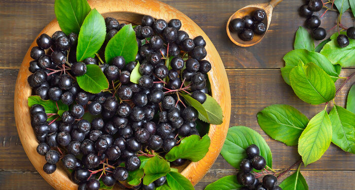 Solabia’s Brainberry enhances peak cognitive performance in young adults: Study