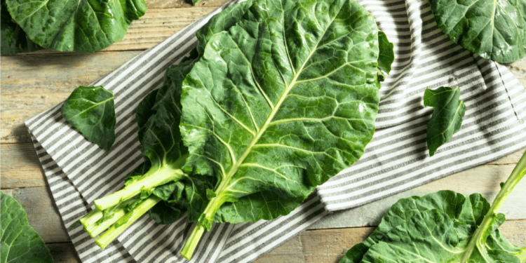 The Amazing Benefits of Collard Greens