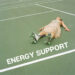 Energy Support – Remedy Holistic