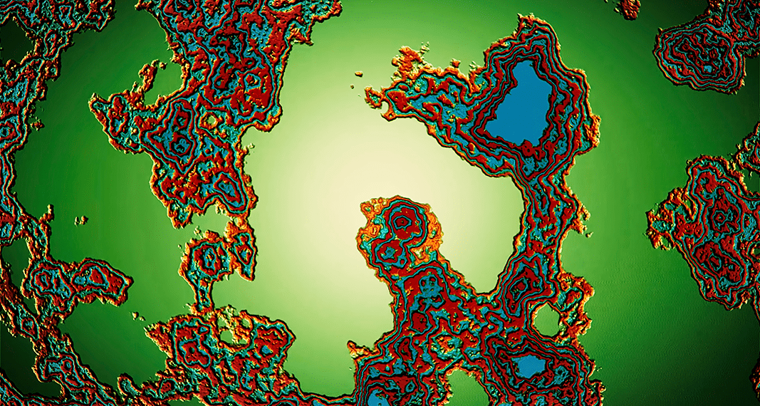 Gut Feeling | Project CBD