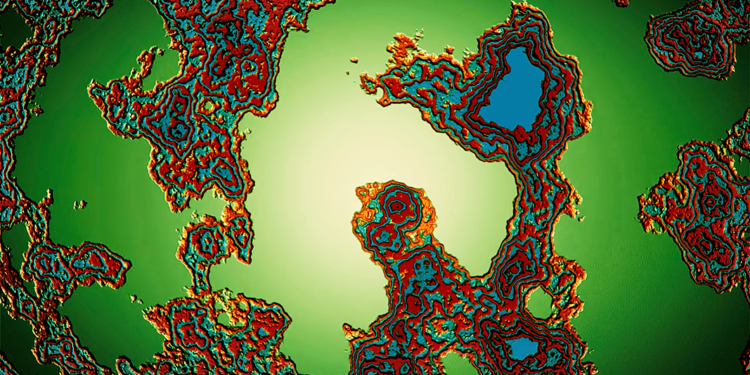 Gut Feeling | Project CBD