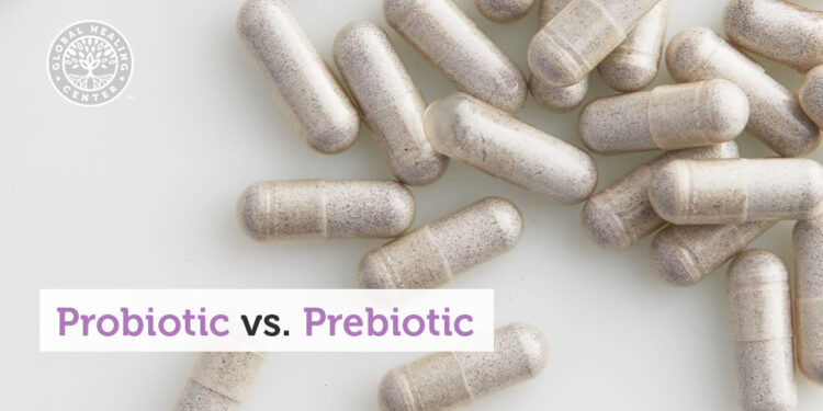 Prebiotic vs Probiotic – Learn the Difference and Their Benefits