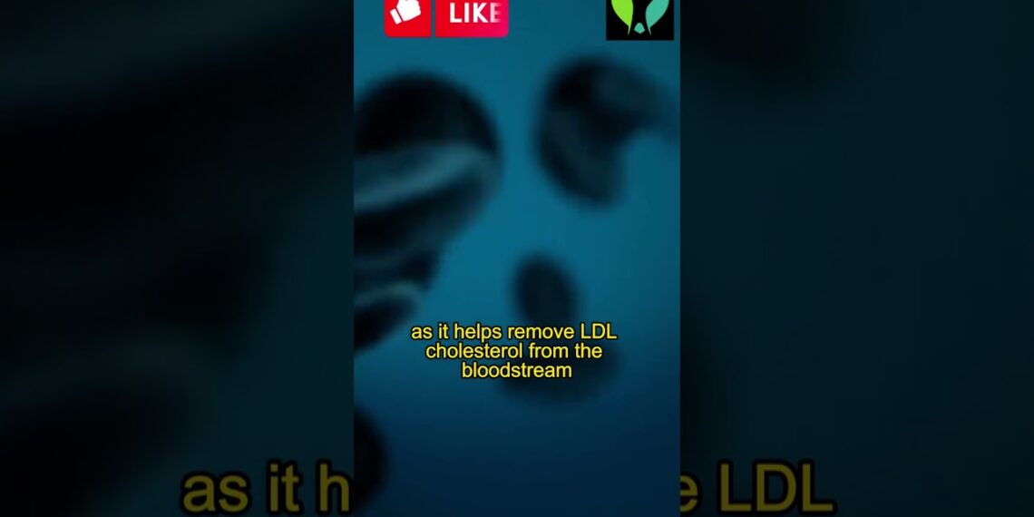 Cholesterol Matters A Deep Dive into LDL and HDL by Goodness Nature