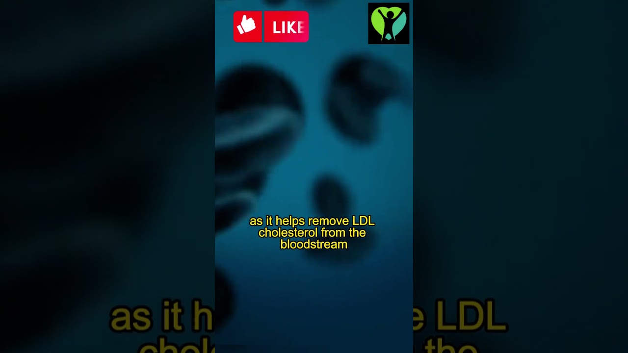 Cholesterol Matters A Deep Dive into LDL and HDL by Goodness Nature