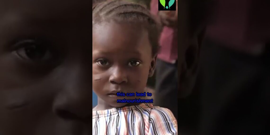 The Liver’s 500+ Functions and How Liver Damage Affects Your Health