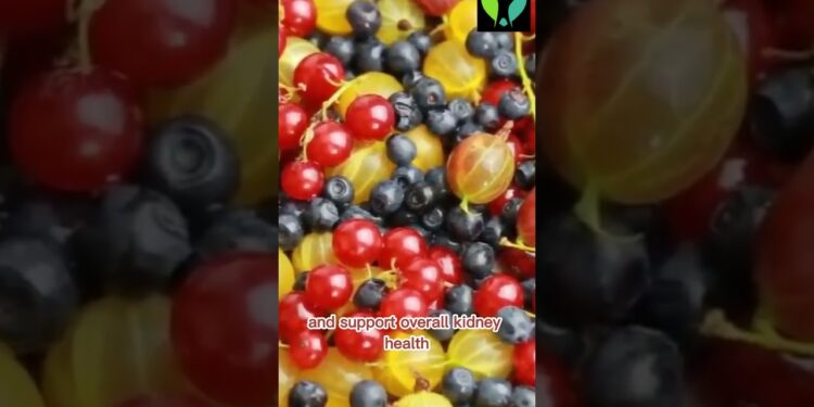 Unlocking Kidney Health Superfoods – Berries, Leafy Greens, Garlic, and Their Benefits!