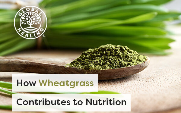 5 Research-Backed Benefits of Wheatgrass [2024, Researched]