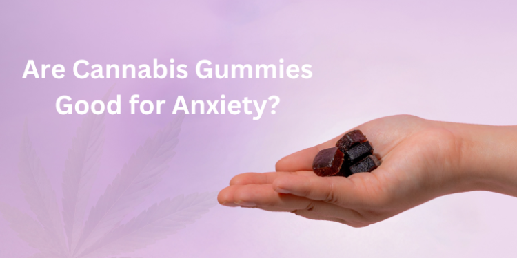 Are Cannabis Gummies Good for Anxiety?– The Trost