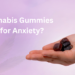 Are Cannabis Gummies Good for Anxiety?– The Trost