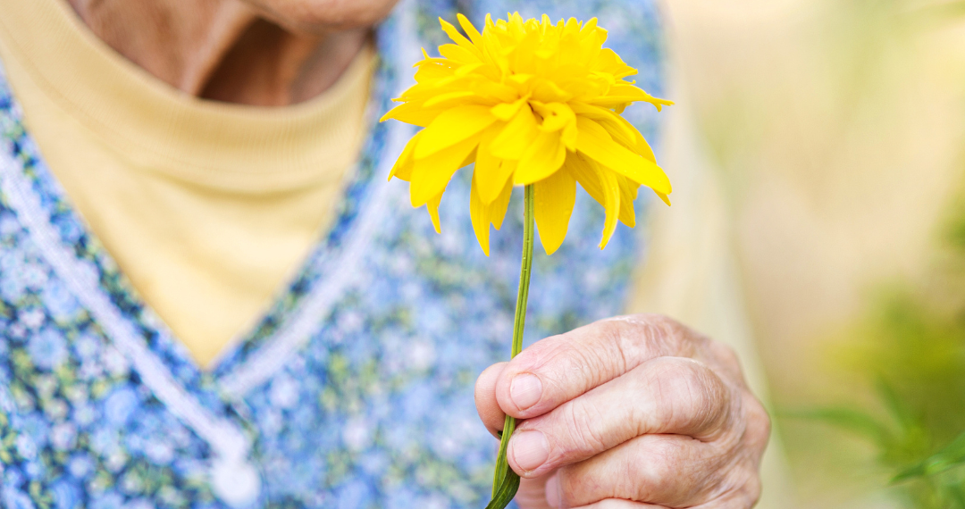 Why are CBD Gummies So Good for Pain?