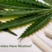 Do Hemp Cigarettes Have Nicotine? Know Hemp Cigarettes Benefits– The Trost
