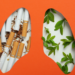 How to Clear Your Lungs After Quitting Smoking