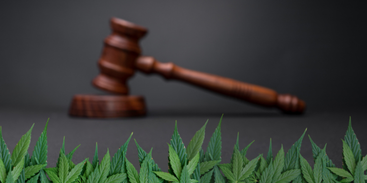 Is Bhang Legal in Karnataka? Know the Legal Status– The Trost