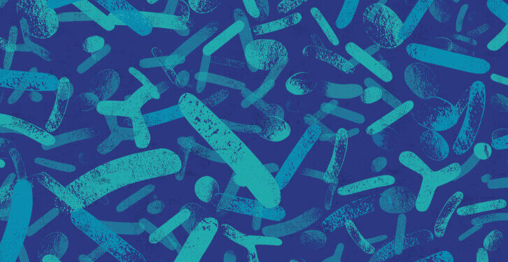 Pre- and probiotics may impact social-decision making