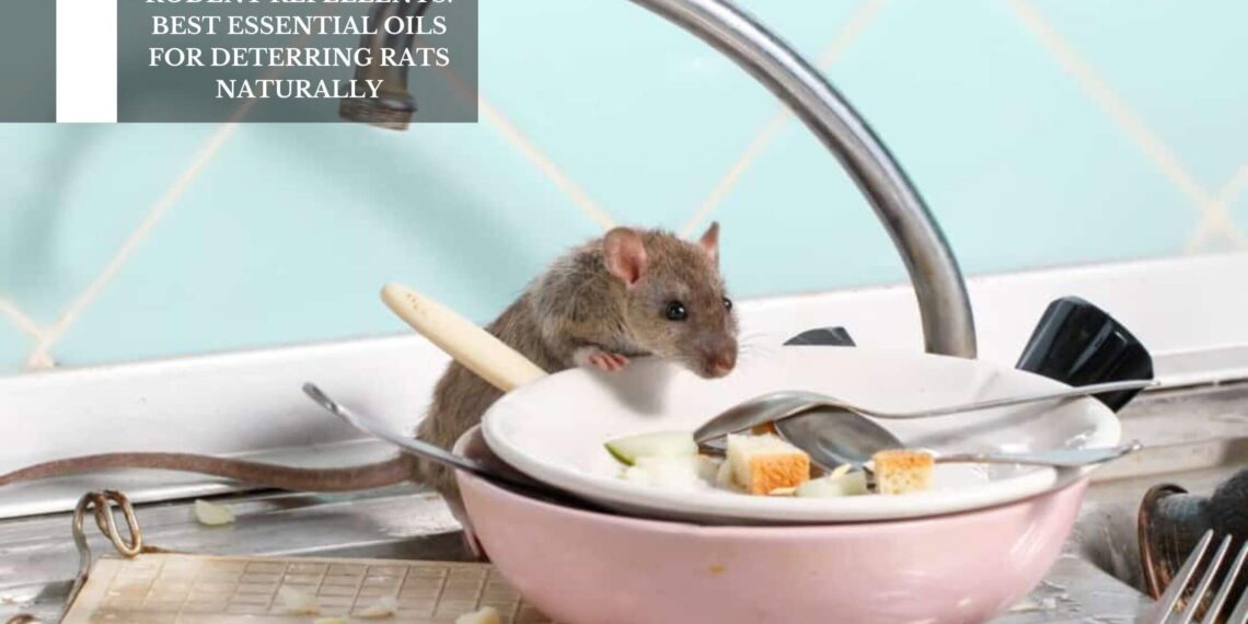 Best Essential Oils For Deterring Rats Naturally
– Moksha Lifestyle Products