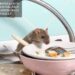 Best Essential Oils For Deterring Rats Naturally
– Moksha Lifestyle Products