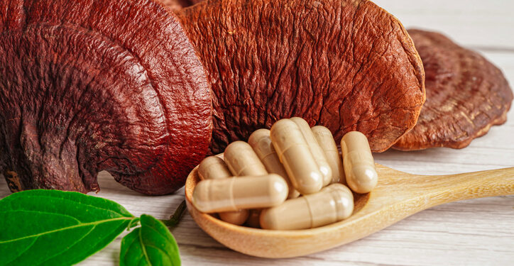 Reishi may improve immune function in older women: Study