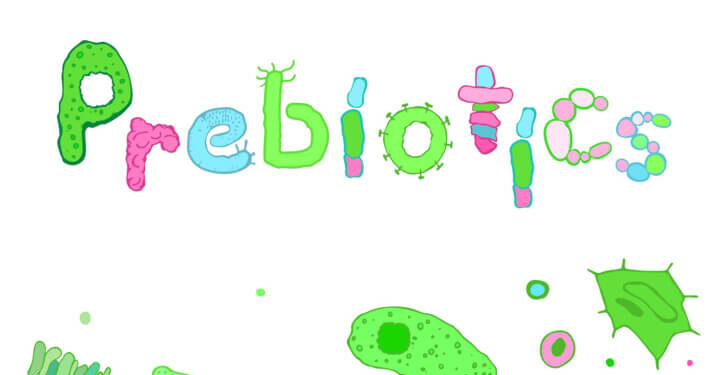 Study supports Sunfiber’s lower dose prebiotic benefits