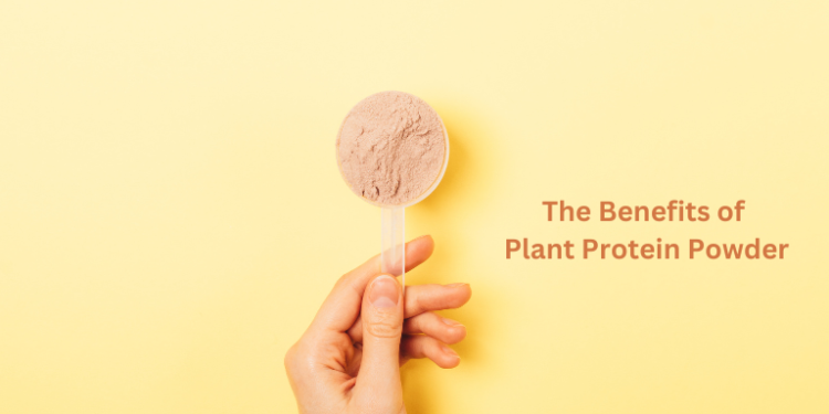 Top Benefits of Plant Protein Powder