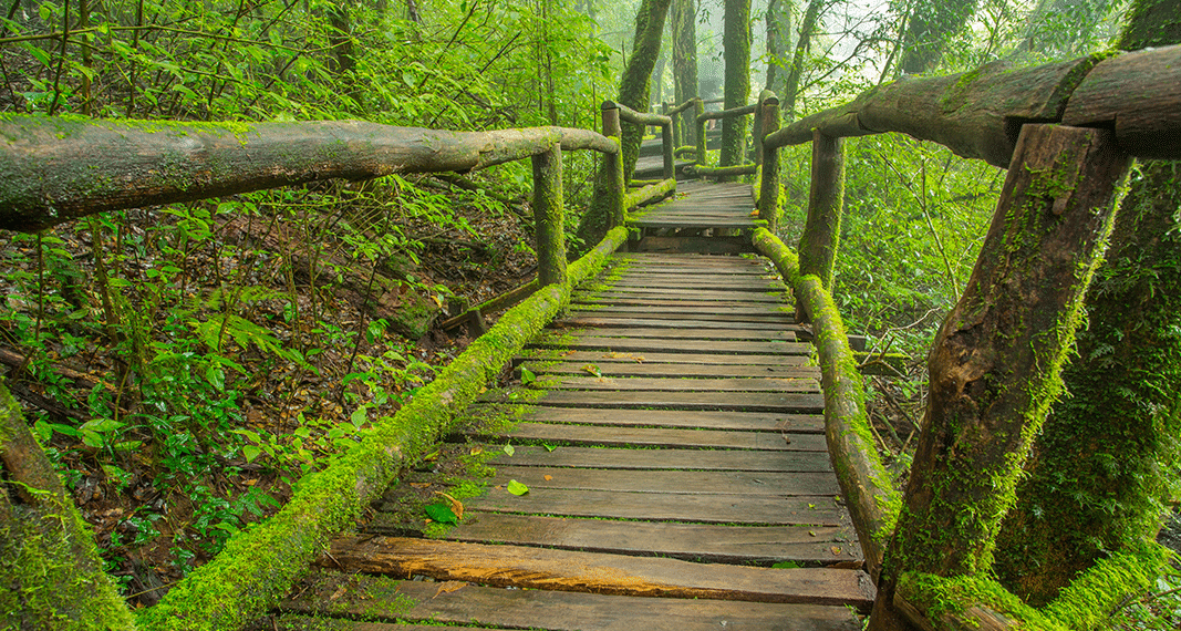 Getting to Know CBG with Bonni Goldstein, MD