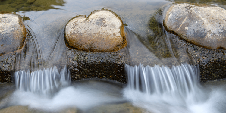 Downstream Effects: April 2023 | Project CBD