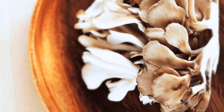 Maitake Mushroom Benefits (and Why You Need It!)