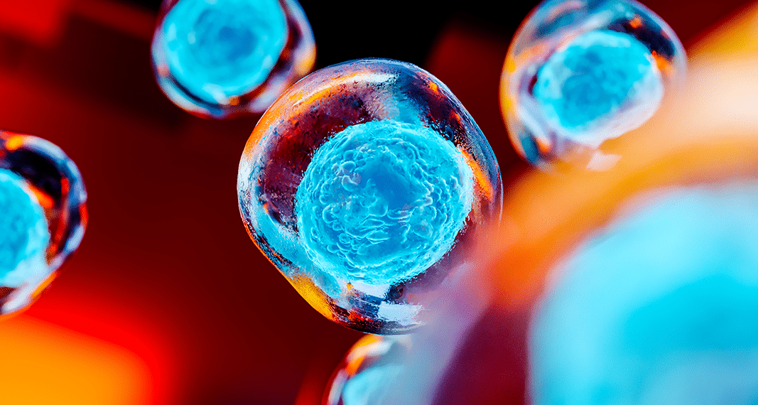 Cannabichromene, a Minor Cannabinoid with Major Upside