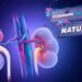 Renew Your Kidneys Naturally: Unlocking the Secrets to Optimal Kidney Health!