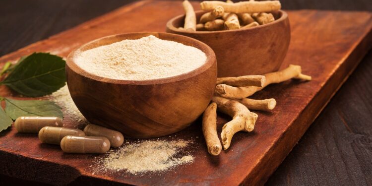 Ashwagandha safety consultation launched in UK as Indian experts step up defense